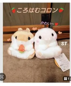 ころはむコロン モルちゃんといっしょ ST.LMC.VMCセット - メルカリ
