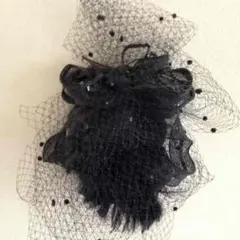 ヘッドドレス 数年前にCA4LAで3万円で購入しました。