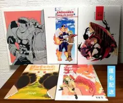 【匿名配送】ヒロアカ 同人誌 全年齢 エンデヴァー ホークス セット