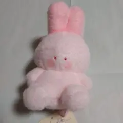 2025年最新】PoPomalsの人気アイテム - メルカリ