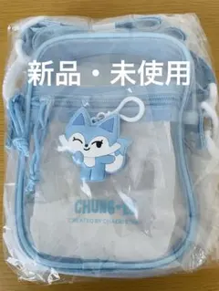 【新品】WDZY CHUNG-EE ショルダーバッグ ITZY チェリョン