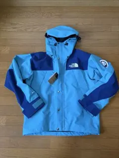 ノースフェイス　40周年　トランスアンタークティカ　マウンテンジャケット