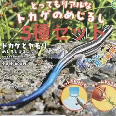 ネイチャーテクニカラー トカゲとヤモリ めじるしマスコット 5種セット
