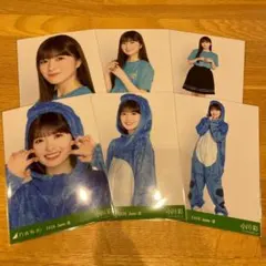 小川彩 乃木坂46 生写真 アニマルルームウェア 2026年最新】乃木坂46 生写真 小川彩 アニマルルームウェアの人気