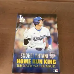 値下げ 大谷翔平2024 50-50達成記念プレミアムフレーム ポストカード