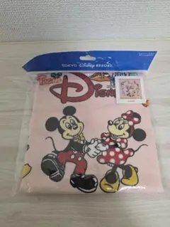 東京ディズニーリゾート キャラクター タオル