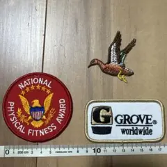 ナショナルフィジカルフィットネスアワードとGROVEパッチセット