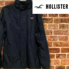 ホリスター HOLLISTER ジャケット　アウター 大きめ