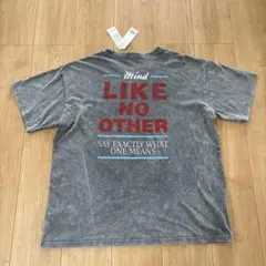 【新品・未使用】WEGO レディース　半袖　Tシャツ　F