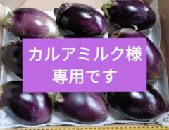 【カルアミルク様専用です】えんぴつ茄子、青じそ