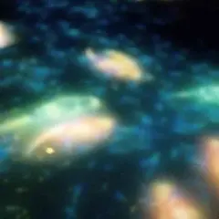 ちゃんゆ。様専用