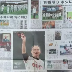 長島茂雄氏 引退翌年（昭和50年）毎日新聞記事 スポーツ欄 - メルカリ