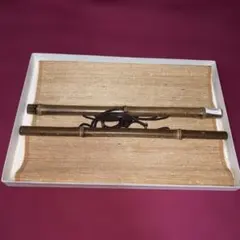 Item thumbnail for item bc7fa3fb-59fc-4b7e-8750-110c0f57fbb9