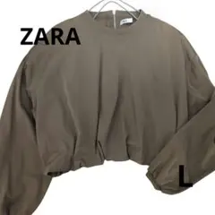 Item thumbnail for item f49f66aa-76f6-4b8d-801f-bedfd572de1a