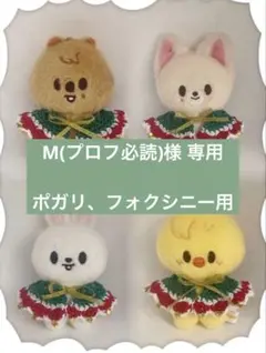 M(プロフ必読)様 専用