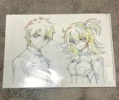 fgo 非売品 クリアファイル 藤丸立香 男主人公 女主人公