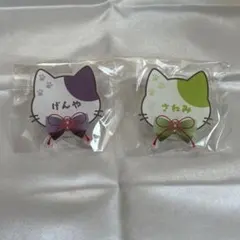 鬼滅の刃 ナンジャタウン 不死川実弥 不死川玄弥　ネームバッジ