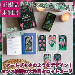 【正規品】シルエットデザインの世界観✨月影の魔術師のタロットカード✨海外限定 正規品】シルエットデザインの世界観✨月影の魔術師のタロットカード