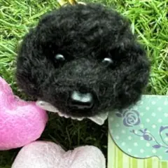 Item thumbnail for item 55a042f3-d018-4b50-b036-7184695e3d3c