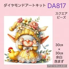 DA817★ダイヤモンドアートキット★スクエアビーズ