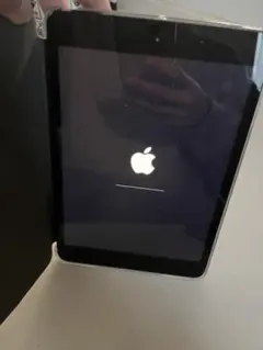 Apple iPad miniスペースグレー本体