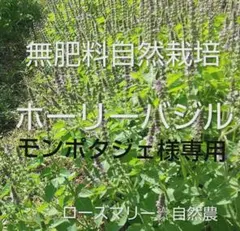 モンポタジェ様 リクエスト 3点 まとめ商品