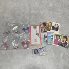 TWICE LOVELYS 壓克力 扣環 毛絨吉祥物  સનામોમો