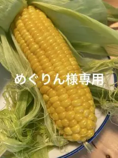 めぐりん様専用です