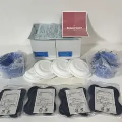 Item thumbnail for item 53c4ea1c-ef76-4974-ab3e-725152cfffb5