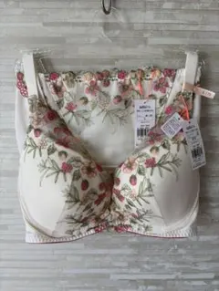 E75L」トリンプ 夢みるブラ DeepV フレーバーウォーター ブラショーツ