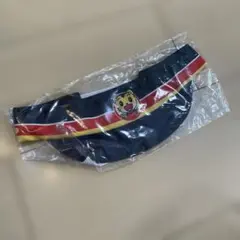 Item thumbnail for item b1a71b26-3abe-4143-8c1f-74016789c6e5