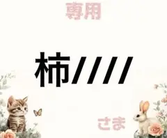 専用