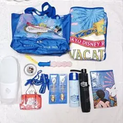 東京ディズニーリゾート　バケーションパッケージ　35周年　2019