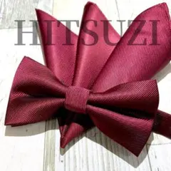 ◆蝶ネクタイ　ボルドー　スーツ　無地　小物　Dvj