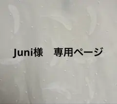 Juni様　専用ページ