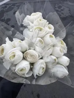 けごちゃん様 リクエスト 2点 まとめ商品