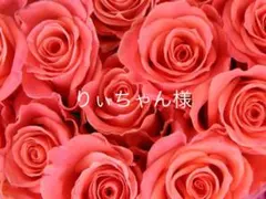 りぃちゃん様　専用