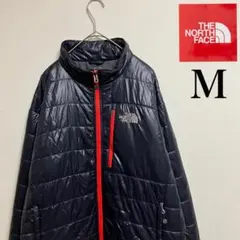 ノースフェイスダウンメンズ