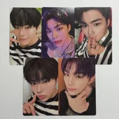 zb1 cinema paradise ゴヌク　トレカ