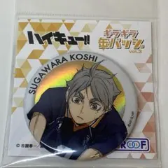 2026年最新】ハイキュー菅原 缶バッジの人気アイテム - メルカリ