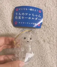 Item thumbnail for item 50776567-f18c-41a3-b8e4-58a3096901a1