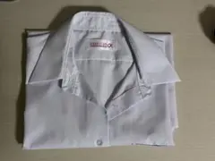 半袖ブラウス　サイズ