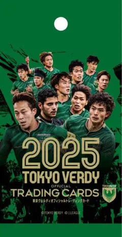 東京ヴェルディ2025 オフィシャルトレカ レギュラー全74種類コンプ＋プロモ