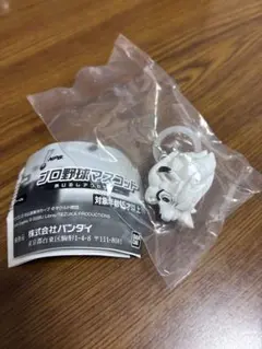 プロ野球マスコット めじるしアクセサリー　レオ