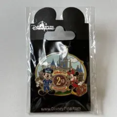 香港ディズニーランド 2周年記念　ピンバッジ　ミッキー　ミニー