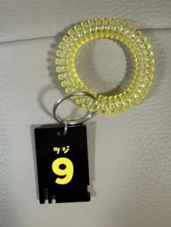 群馬クレインサンダーズ　辻直人選手　サウナホルダー　#9