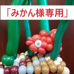 「みかん様専用」