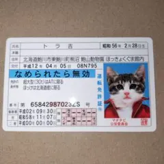 なめ猫　トラ吉　トレーディングカード