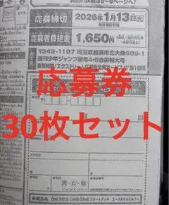 エース&サボ&ルフィ30セット応募用 週刊少年ジャンプ 【新年4•5合併特大号】