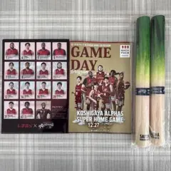 越谷アルファーズ　ぴかネギー2本セット